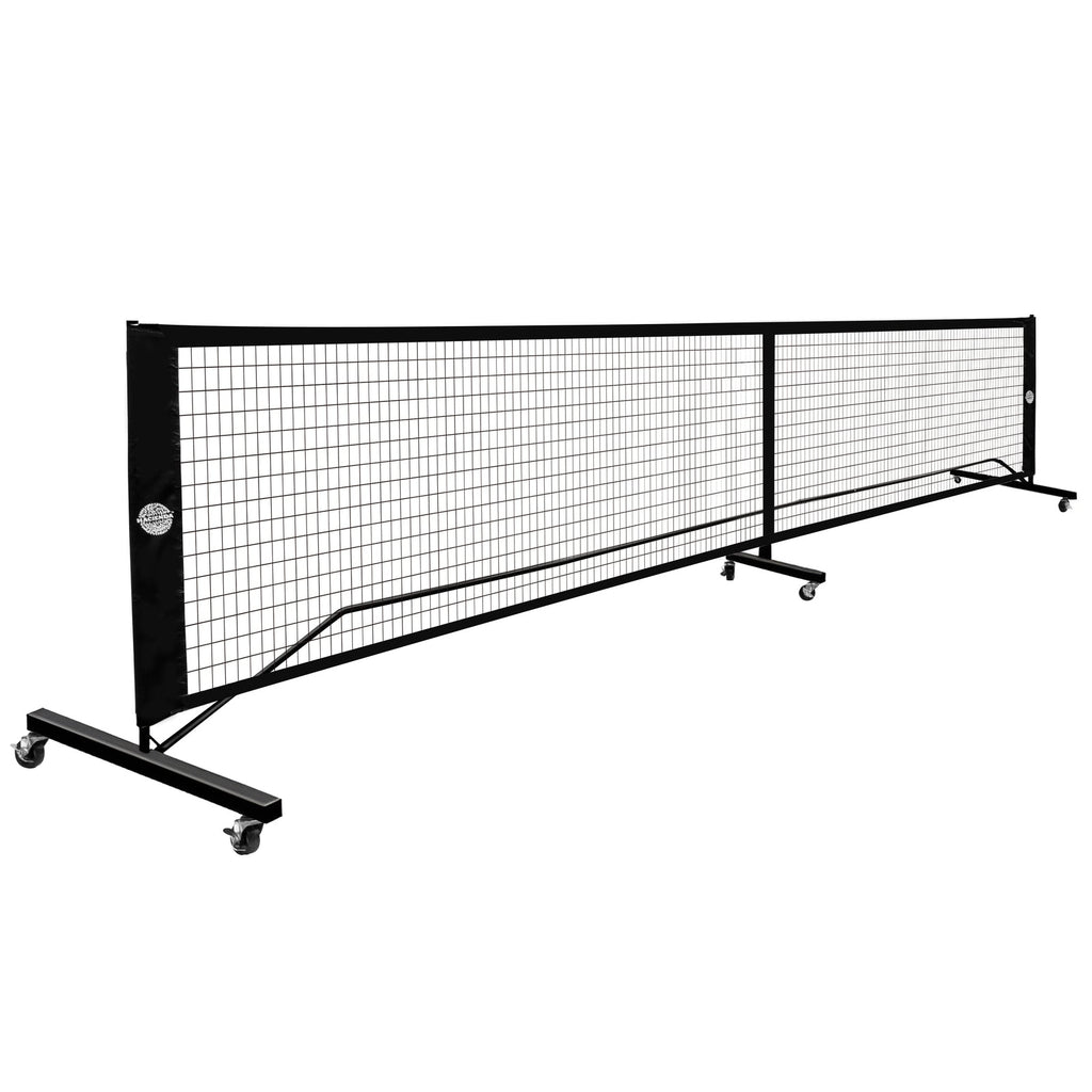 NNEDSZ Pickleball Set with 4 Paddles, 6 Balls, Net, and Carry Bag